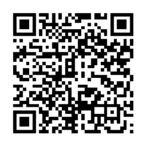 无数专为计算而生的甲虫就蛰伏在这样的巢穴深处二维码生成