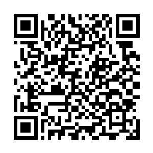 无数个大千世界和无数星系中所有的智慧生命都接驳到一起二维码生成