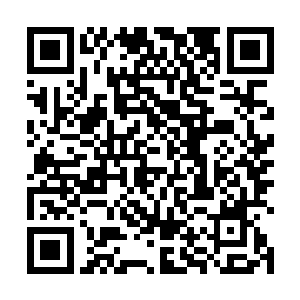 无数带着四白色吸盘的触手好像鲜花盛开一般璀璨绚丽二维码生成