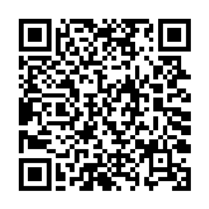 无数撕心裂肺的悲鸣和狂乱的咆哮声在城市各处响起二维码生成