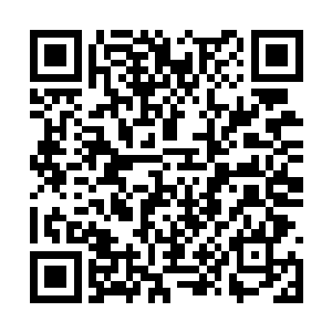 无数次在战斗或者护卫中觉得危险突如其来的警兆二维码生成