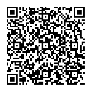 无数次幻想这时会有一个比她优秀比她漂亮的女孩儿突然飘到教室门口热络亲切地呼喊自己一声二维码生成