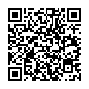 无数男女老幼在一个个的城市中轮为最低贱的血奴二维码生成