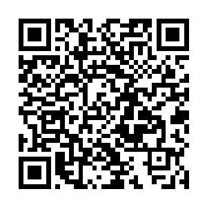 无数的各种丹妖如同一道道浪潮向着许紫烟冲击了过来二维码生成