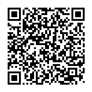 无数的恶鬼和身穿明月长袍的斋月一族强者也是狠狠的厮杀在了一起二维码生成