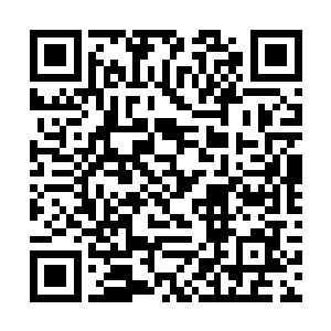 无数的混沌兽和域外天魔被一个个树枝抽得支离破碎二维码生成