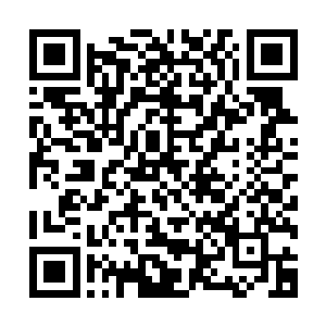 无数的花斑巨牛正在试图打破这个真空范围朝着林烽攻击过来二维码生成