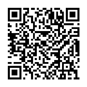 无数的裂纹此刻也是在不断的朝着四周蔓延而去二维码生成