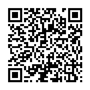 无数的魔族骑士这个时候也一个个的躁动起来……二维码生成