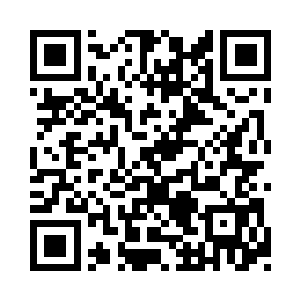 无数的鸳鸯刀嫁给你所有的地方全都覆盖了二维码生成