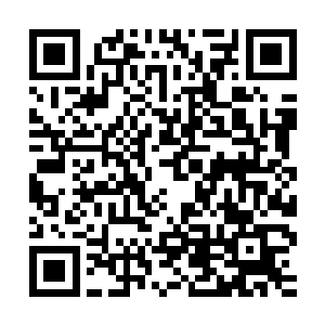 无数肉根触须颤抖着绞缠着朝船挤压过来……先前想要攻击肠壁二维码生成