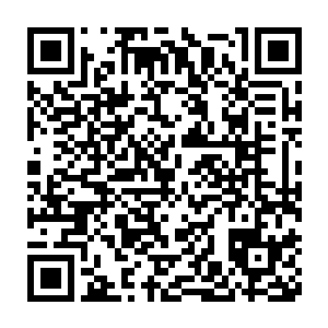 无数虚幻的黑影被身不由己地从世界各处智慧生物的梦境当中拉扯出来二维码生成