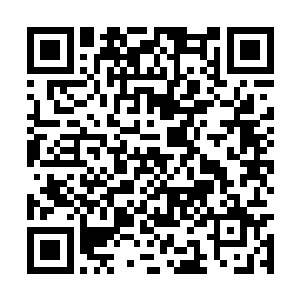 无数貌似神魔的文明都在人类的战刀之下瑟瑟发抖二维码生成