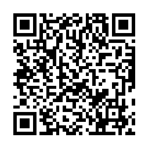 无时不刻都在消耗体内的生命血肉精华来修复自己的身躯二维码生成