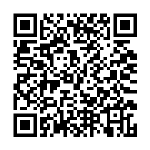 无时无刻不在吞噬着各个大陆上魔族的生机和精气神二维码生成