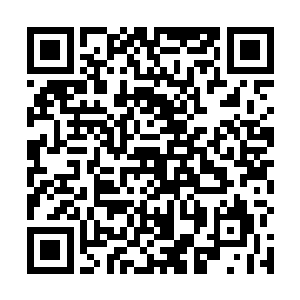 无果说弹幕徐进这种在一战的尸山血海中逼出来的战术二维码生成