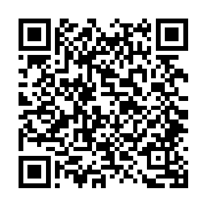 无比浓郁的元气在林铭体内世界的上空凝成元气云二维码生成