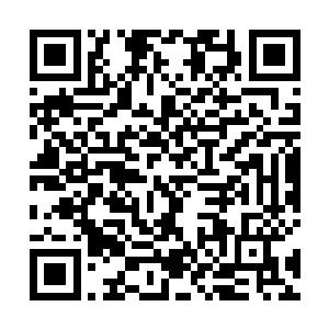 无法原谅他用火活活烧死自己……整整耗去两张赎死券二维码生成