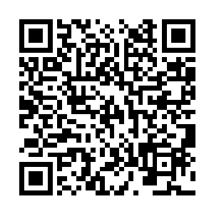 无疆海实力称尊的归真阁打到这等两败俱伤的地步二维码生成