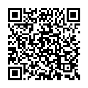 无疑就如同在他脸上扇了一个火辣辣的耳光一般二维码生成