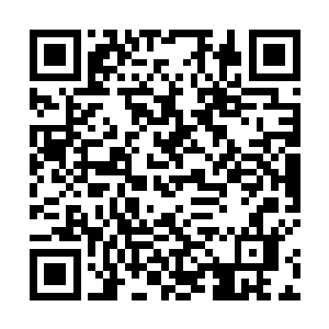 无疑让有着ogn赛事首席解说之称的米勒看到了一丝希望二维码生成