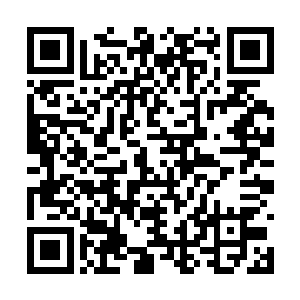 无疑证明了那小子的确有过人之处才能让破军松口二维码生成