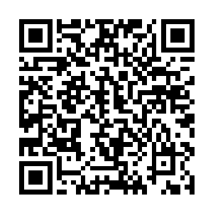 无穷无尽的上古凶悍霸道气息从四象神兽身上迸出来二维码生成