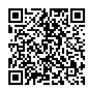 无论从落倾城还是其他的渠道之中都没有一点关于苏凡的消息二维码生成