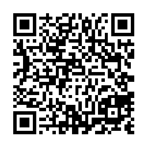 无论体术与机甲操控都达到他现在年龄可以达到的最高级别二维码生成