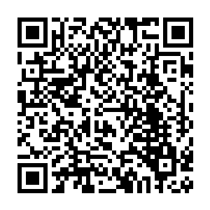 无论再忙叶璃每天总会拉着墨修尧一起来抱抱小宝宝逗弄他们玩儿的二维码生成