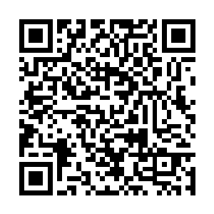 无论刚才那个张家的无耻小辈的掌中雷霆有多厉害二维码生成