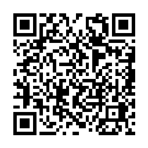 无论如何以后家里任何形式的聚会她都不会参加了二维码生成