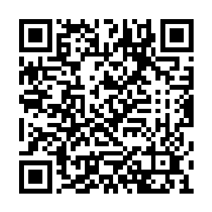 无论如何只要这两人不做什么谋逆十恶不赦之事二维码生成