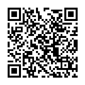 无论怎么成长异变都脱离不了娇艳火红本质的灵草二维码生成