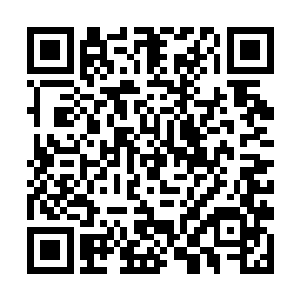 无论怎么看也没办法让人联想到他就是今日的新郎官二维码生成