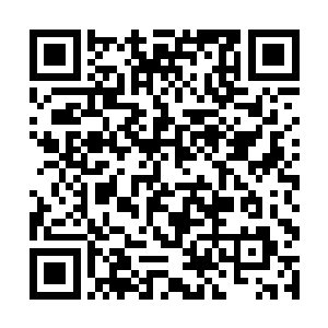 无论我们抢到多少粮食都不可能挽救大夏国内的危机二维码生成