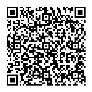 无论扯什么齐一铭都能在最短的时间之内把话题扯到薇拉肚子里那不知道是男是女的孩子身上二维码生成