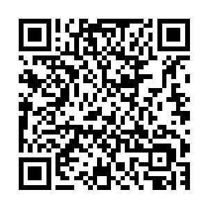 无论是之前的记眼时间还是这次的双召齐交突然爆发秒掉发条二维码生成