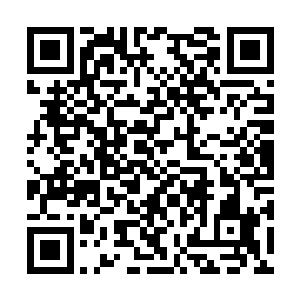 无论是京城王家还是那些能够调动国安的神秘力量二维码生成