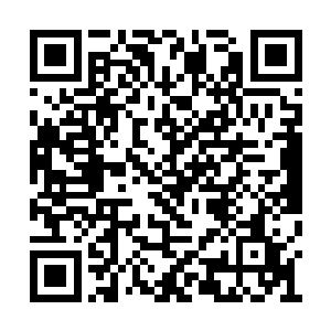 无论是他三番五次地孤军深入敌方野区杀人抓单二维码生成