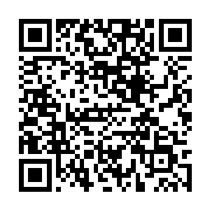 无论是何红安还是何晴都明白丁长生在湖州的能量二维码生成