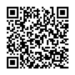 无论是先前一直非常蔑视甚至仇视他的虎蛟族修士二维码生成