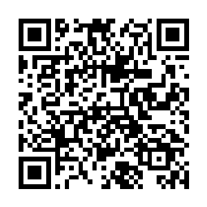 无论是外貌还是这范儿……都完全符合欧洲人的审美观二维码生成