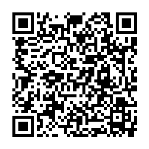 无论是大明星小明星都有被有钱富商或者有背景的公子哥包养的先例二维码生成