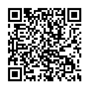 无论是她们之间任何一个人都有强烈的这种预感二维码生成