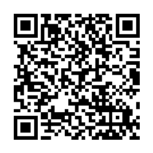 无论是异形基因还是蚂蚁基因应该都没有这种神奇的力量二维码生成