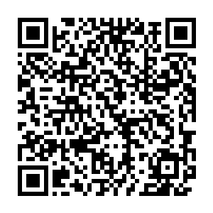 无论是想要将她娶回家做妾的达官显贵还是娶回去做妻的平民百姓二维码生成