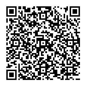 无论是萝纱还是云素素她们都立即发现这里的起源之力真的与她们体内的修真者气息相交辉映二维码生成