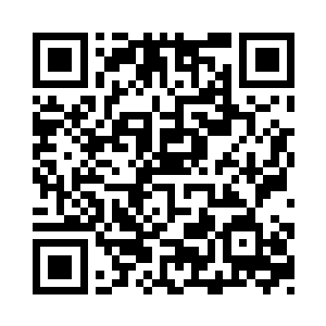 无论是车牌号码还是车子都无迹可寻二维码生成