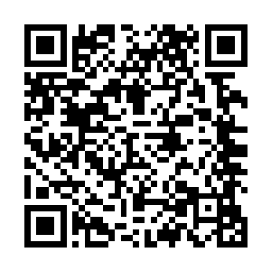 无论是那血红的双眼还是那偏执的让人心中发寒的表情二维码生成